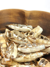 Mother Of Pearl Shell Beads Sku#M664