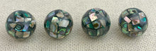 Abalone Beads