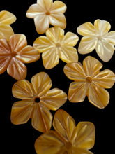 Yellow Mother Of Pearl Flower, SKU#M4667