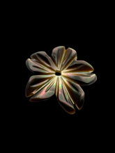 Flower Mother Of Pearl, SKU#M4668