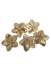Yellow Mother Of Pearl Flower, SKU#M65