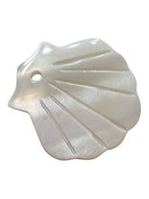 Sea shell Mother Of Pearl, SKU#M4405