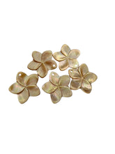 Yellow Mother Of Pearl Flower, SKU#M65
