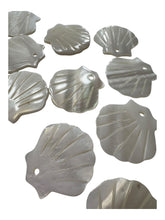 Sea shell Mother Of Pearl, SKU#M4405