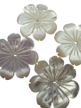 White Mother of Pearl, SKU#M4611