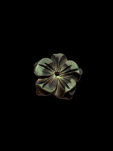 Flower Mother Of Pearl, SKU#M4663