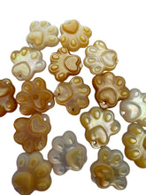 White paw mother of pearl, SKU#M01