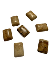 Picture jasper jade, SKU#M879