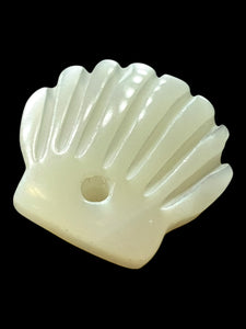 Sea shel Mother Of Pearl, SKU#M4404