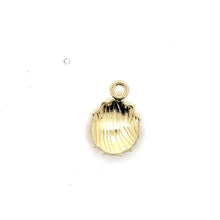 Colored gold plated sea shell