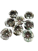 Flower Mother of Pearl, SKU#M4631