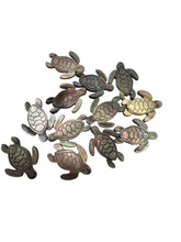 Turtle mother of pearl, SKU#M391