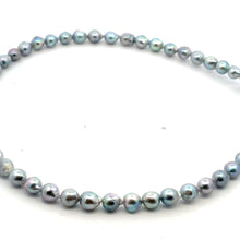 AAA+ Akoya, Japan Ocean Keshi Pearls