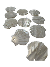 Sea shell Mother Of Pearl, SKU#M4405