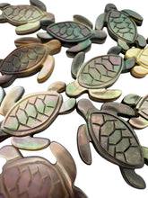 Turtle mother of pearl, SKU#M391