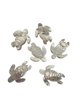 White turtle Mother of Pearl, SKU#M391