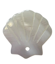 Sea shell Mother Of Pearl, SKU#M4405