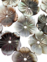 Mother Of Pearl Flower, SKU#M20