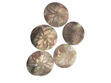 Round mother of pearl, carved flower, SKU#M4053