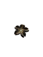 Flower Mother Of Pearl, SKU#M4668