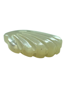 Sea shel Mother Of Pearl, SKU#M4404