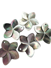 Mother Of Pearl, SKU#M65-3