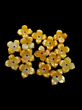 Flower Mother Of Pearl, SKU#M4666