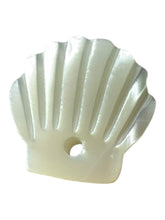 Sea shel Mother Of Pearl, SKU#M4404