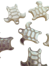 Small white turtle, SKU#M391