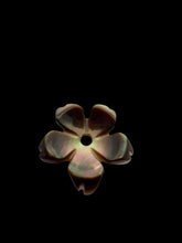 Flower Mother Of Pearl, SKU#M4535