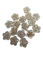 White flower Mother of Pearl, SKU#M4643