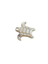 Small white turtle, SKU#M391
