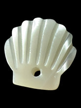 Sea shel Mother Of Pearl, SKU#M4404