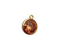 6mm, Gold filled , 3A, Cubic Zicronia Bezel 
SKU#4000059SDM11