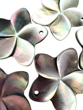 Mother Of Pearl, SKU#M65-3