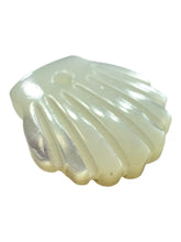 Sea shel Mother Of Pearl, SKU#M4404