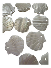 Sea shell Mother Of Pearl, SKU#M4405
