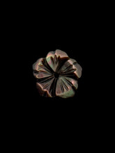 Flower Mother Of Pearl, SKU#M4665