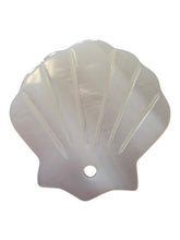 Sea shell Mother Of Pearl, SKU#M4405