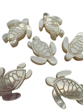White turtle Mother of Pearl, SKU#M391