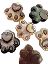 Mother of pearl paw, SKU#M04