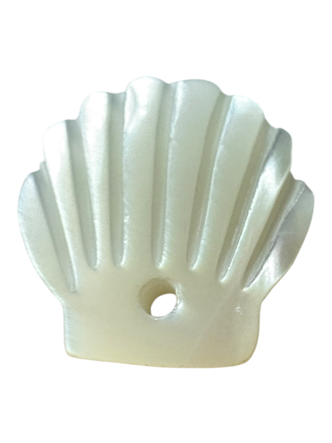 Sea shel Mother Of Pearl, SKU#M4404