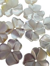 White Flower Mother Of Pearl, SKU#M4641