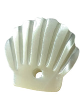 Sea shel Mother Of Pearl, SKU#M4404