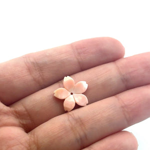 15mm Conch Cherry Blossom, M4543