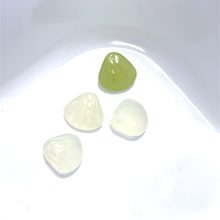 Seashell Jade
