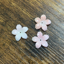 15mm Conch Cherry Blossom, M4543