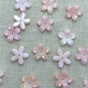 15mm Conch Cherry Blossom, M4543