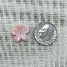 15mm Conch Cherry Blossom, M4543