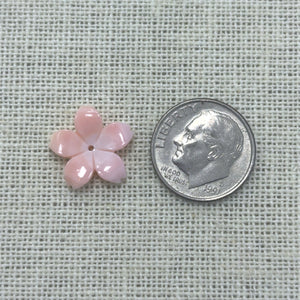 15mm Conch Cherry Blossom, M4543
